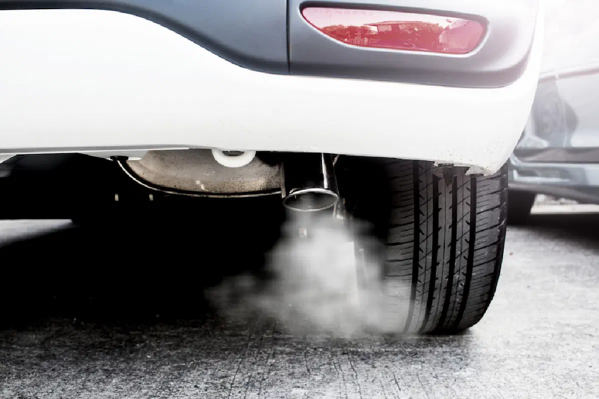 5 Ways to Ensure Reduction in Carbon Emissions for Logistics Sector