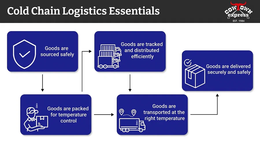 What Is Cold Chain Logistics?