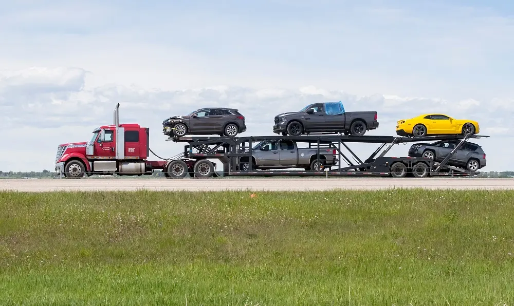 Navigating Challenges and Seizing Opportunities