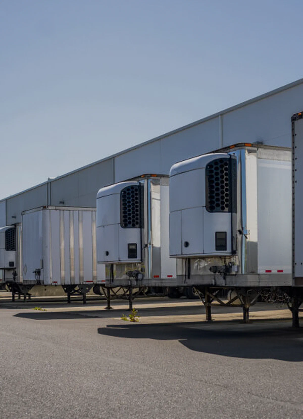 Cold chain logistics Refrigerated trailer and cold chain freight.
